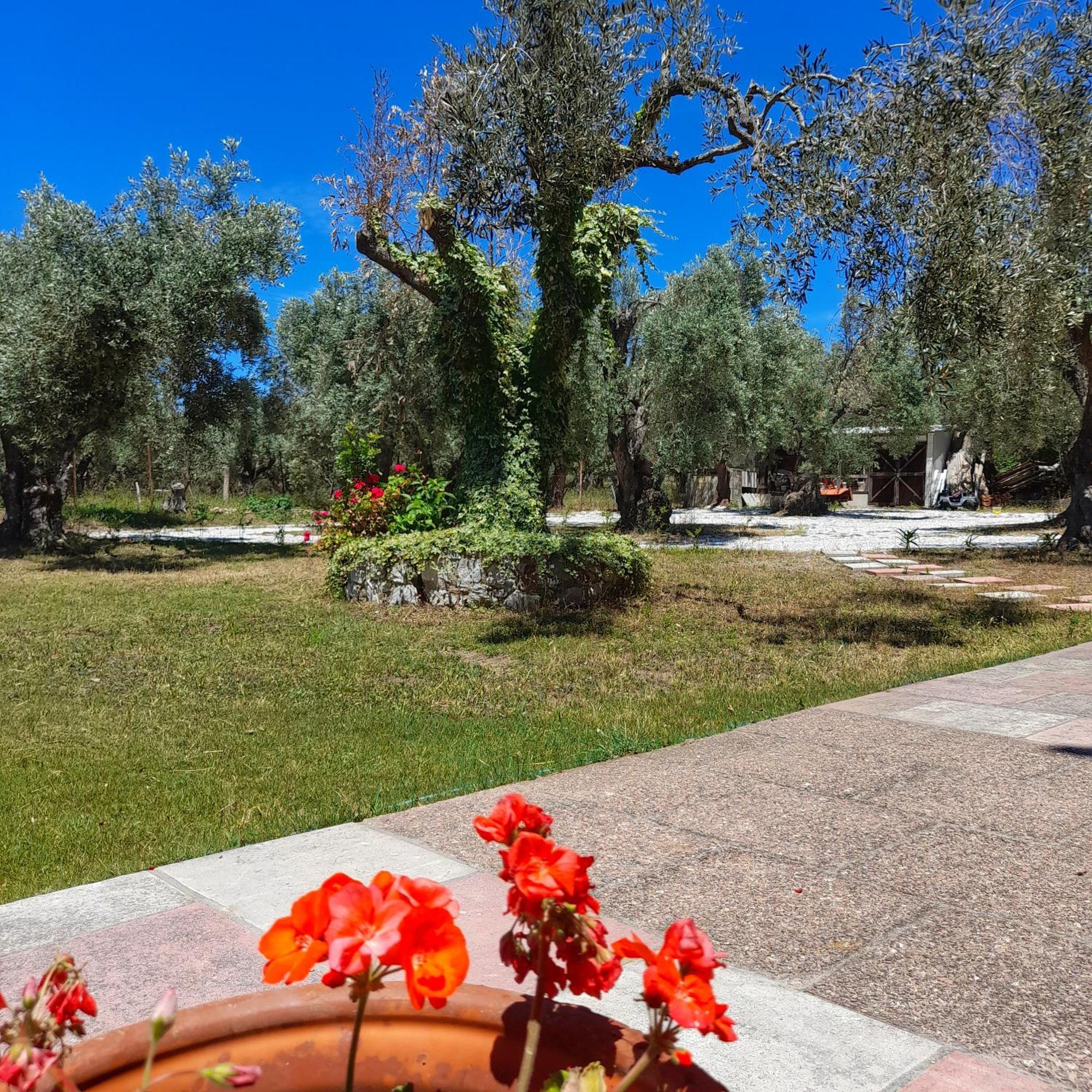 סטפילוס Georgia Apartments מראה חיצוני תמונה